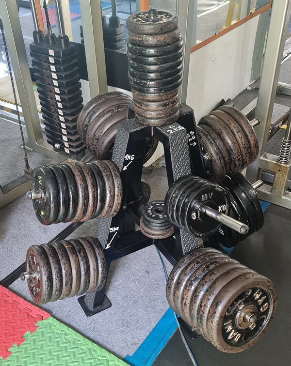 Barbell Plates Dani GYM